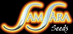 Samsara