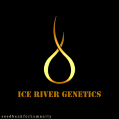 Ice River Genetics