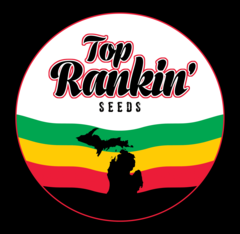 Top Rankin Seeds