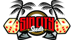 Sin City Seeds