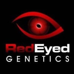 Red Eyed Genetics