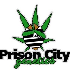 Prison City Genetics