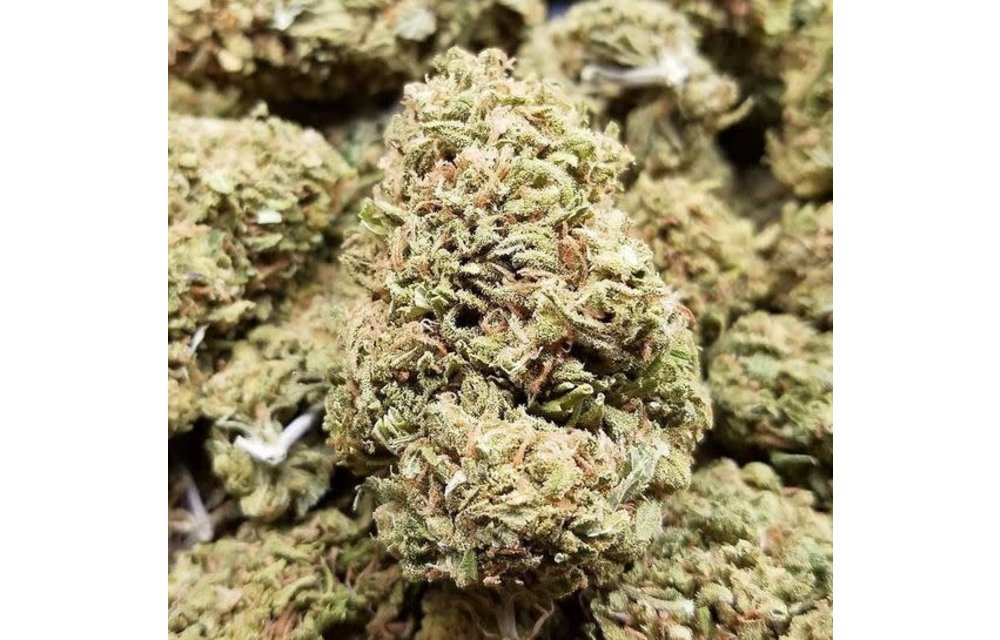 Super Jack x Fruity Pebbles Fem 5 pk