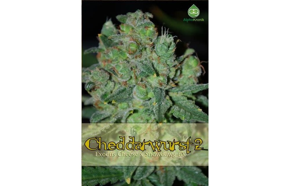 Cheddarwurst 2 Reg 10 pk