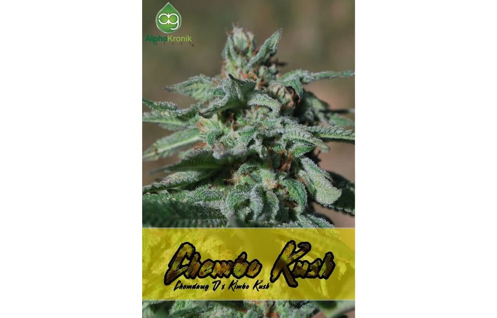 Chembo Kush Reg 10 pk