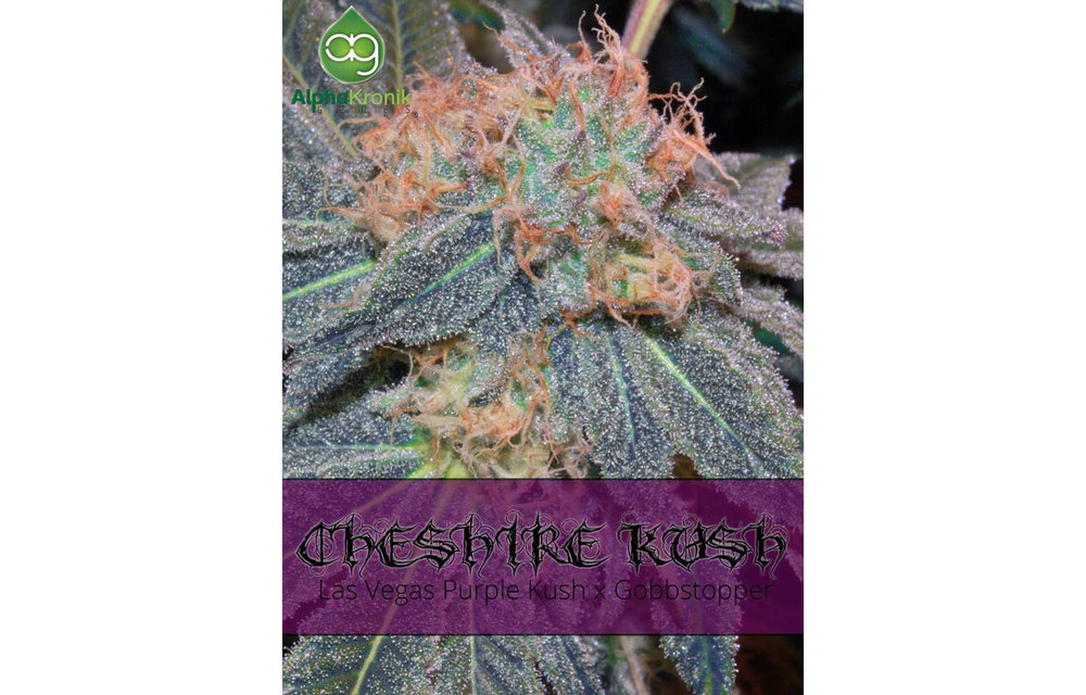Cheshire Kush Reg 5 pk