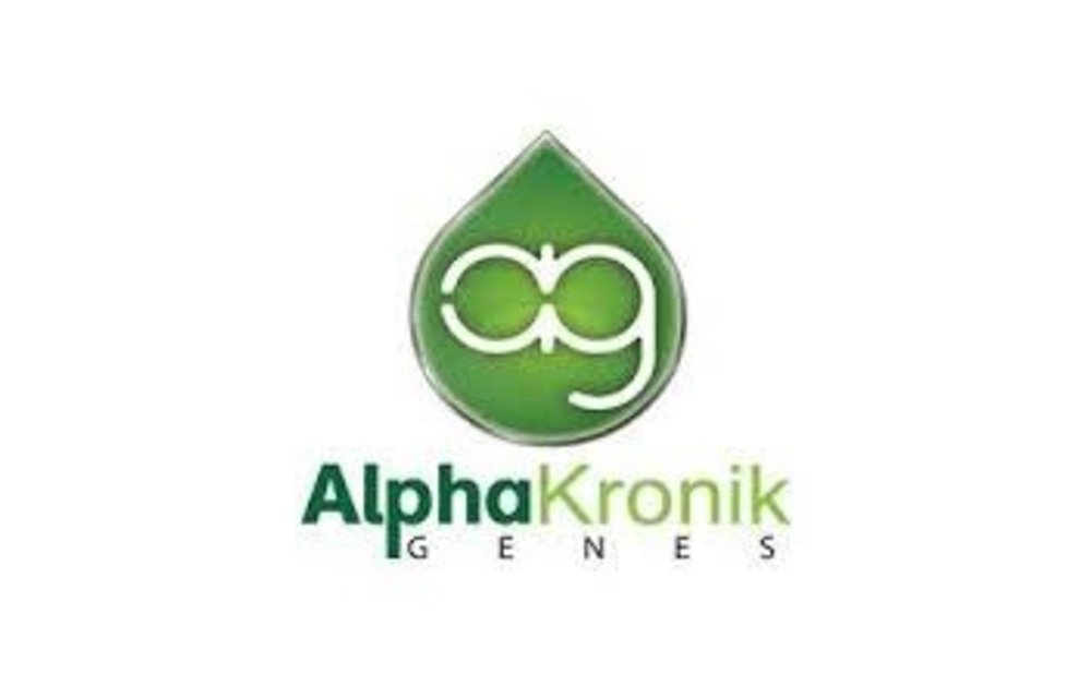 Alphakronik Love Reg 5 pk