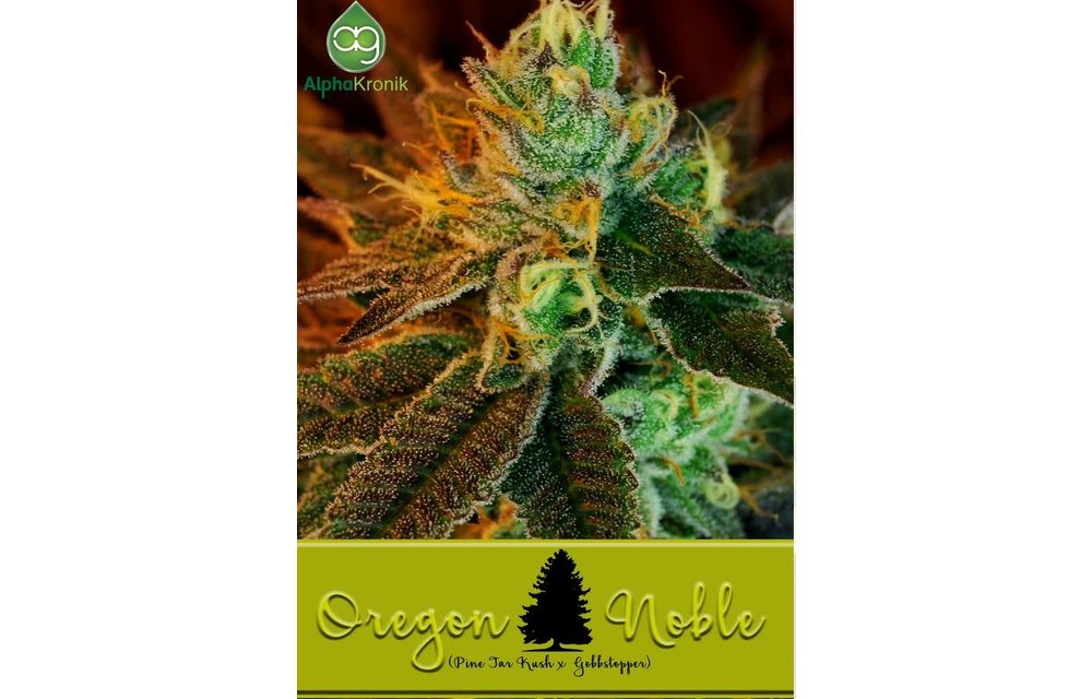 Oregon Noble Reg 10 pk
