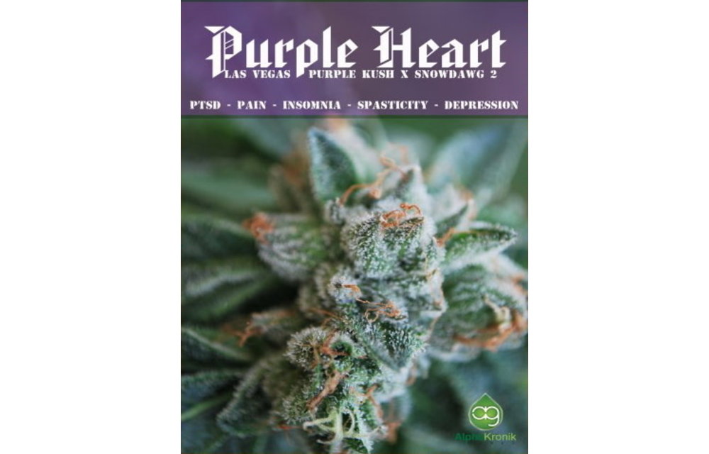 Purple Heart 5 Reg pk