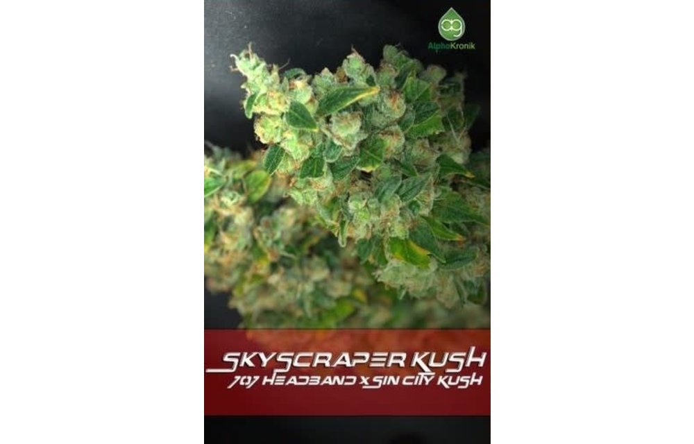 Skyscraper Kush Reg 5 pk