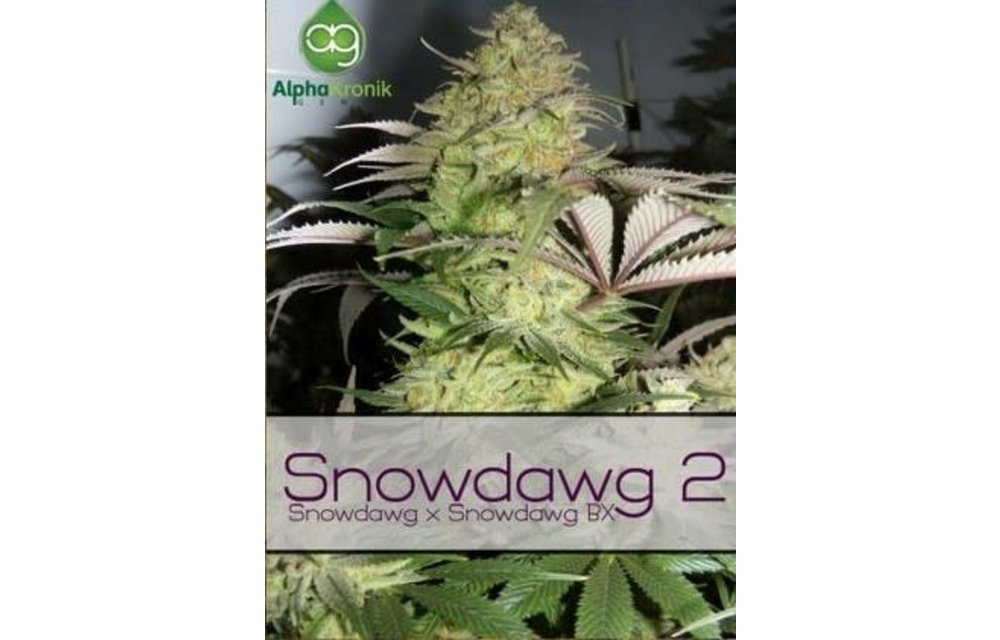 Snowdawg 2 Reg 5 pk