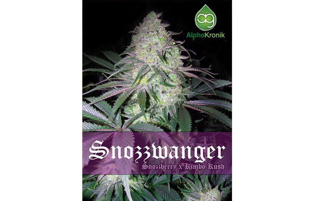 Snozzwanger Reg 10 pk
