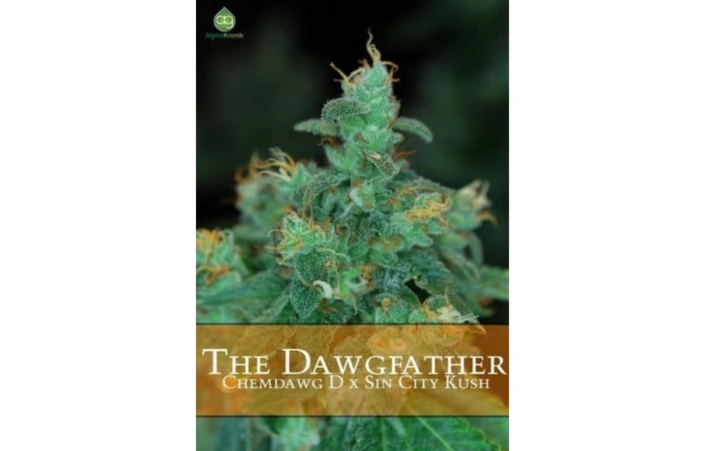 The Dawgfather Reg 5 pk