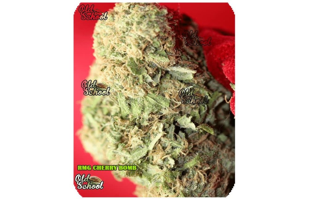 Cherry Bomb Reg 5 pk