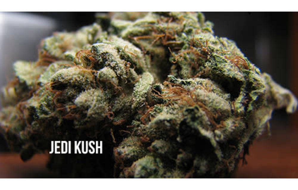 Jedi Kush Fem 6 pk