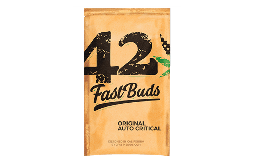 Original Auto Critical Fem 5 pk