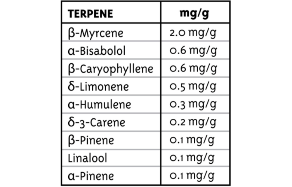Blueberry Muffin Fem 10 pk