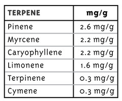 Products tagged with blackberryog