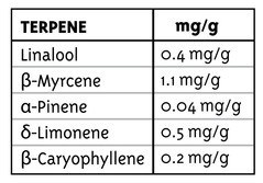 Products tagged with fireog