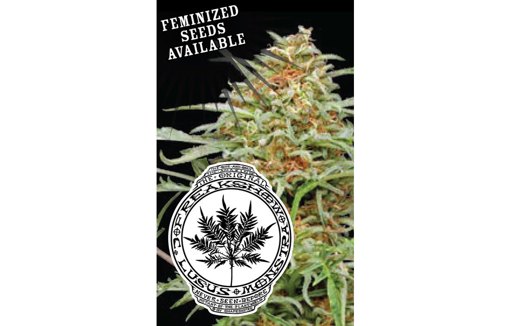 Freakshow Fem 10 pk