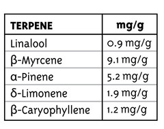 Products tagged with bluedream