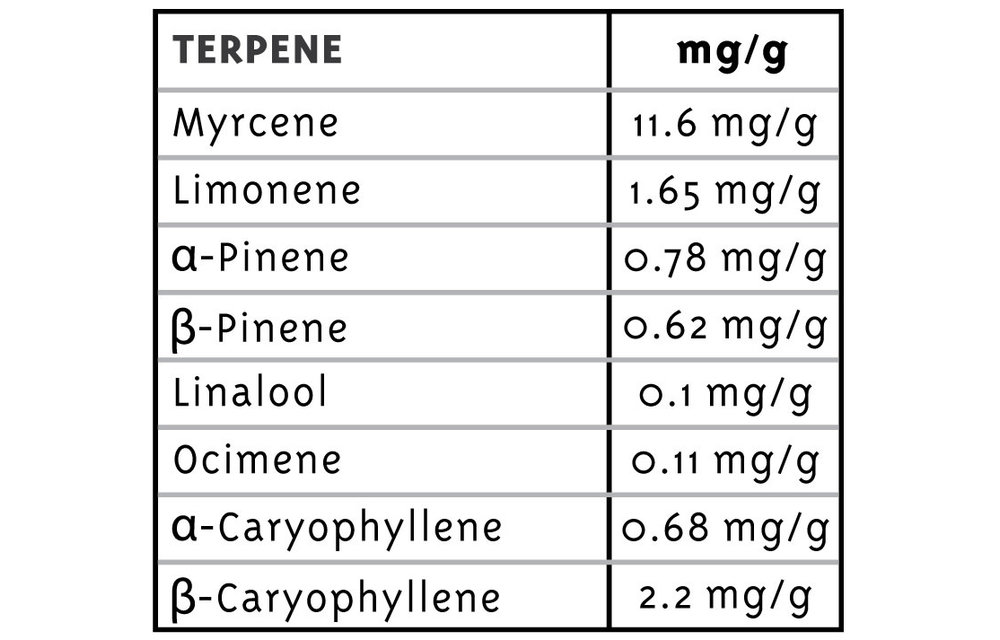 Lemongrass Fem 10 pk