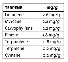 Products tagged with mangokush
