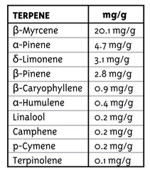 Products tagged with oregongrape