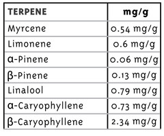 Products tagged with grapefruit
