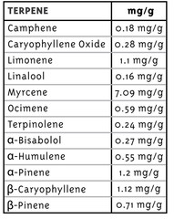 Products tagged with cerebralpalsy