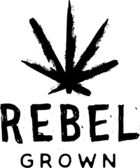 Products tagged with rsa
