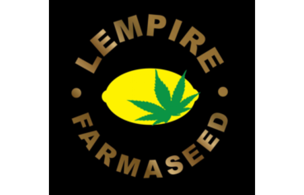 GG#4 x Limepop Reg 20 pk