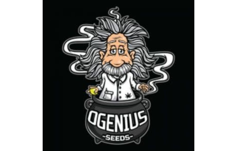 Early OG Reg 20 pk