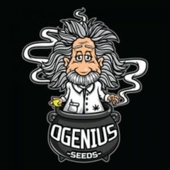 Ogenius