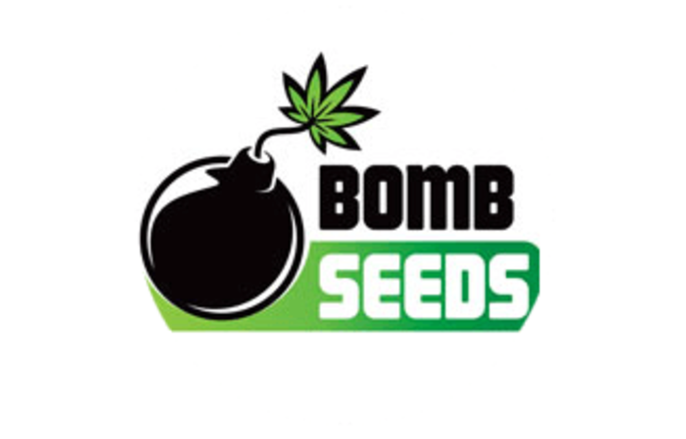 Hash Bomb Fem 5 pk