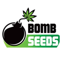 Products tagged with buzzbomb