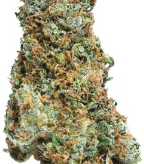 Products tagged with brucebanner