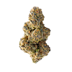 Products tagged with granddaddypurple