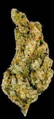 Mega Buds