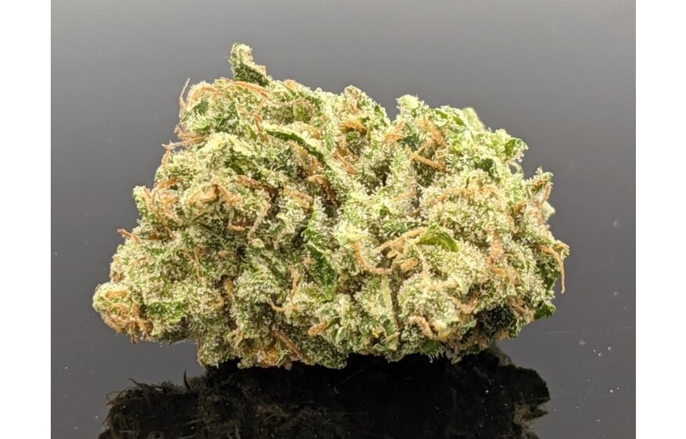 Double Durban Reg 16 pk