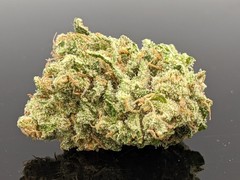Products tagged with durbanpoison