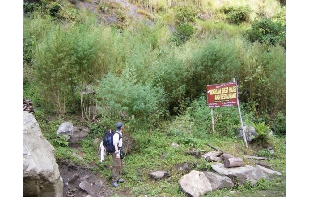 Nepal Annapurna Reg 10 pk