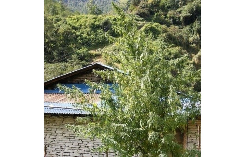 Nepal Annapurna Reg 10 pk