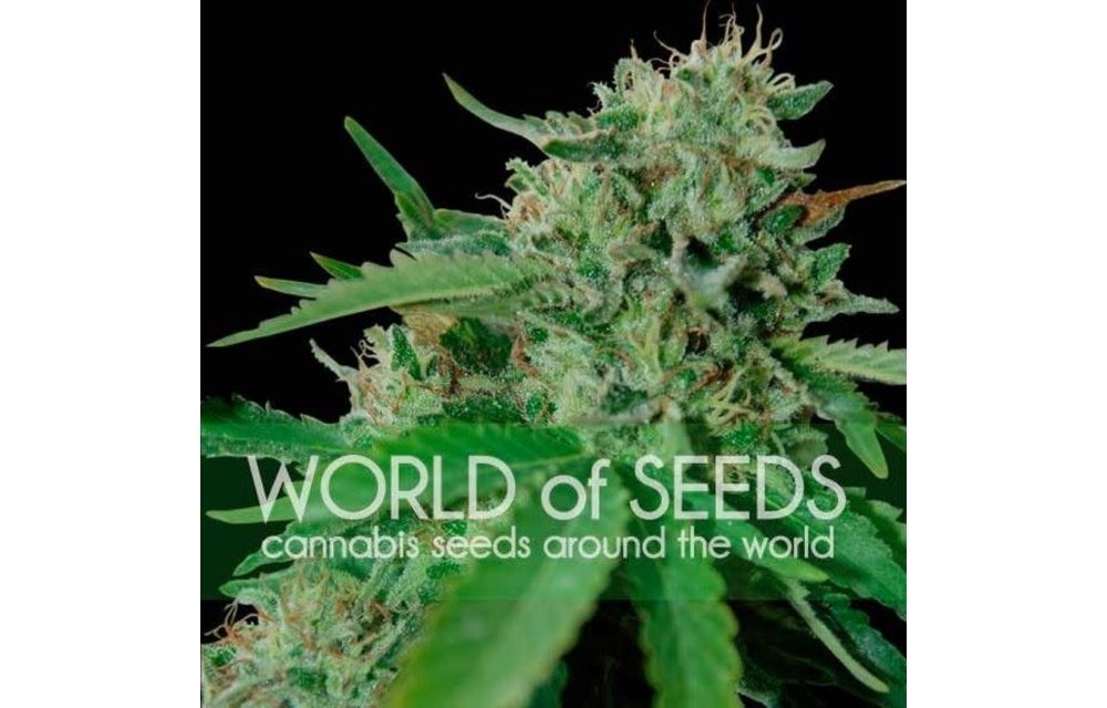 Brazil Amazonia Reg 10 pk