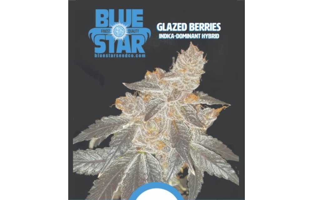 Glazed Berries Reg 13 pk(+5 Freebies Inside)