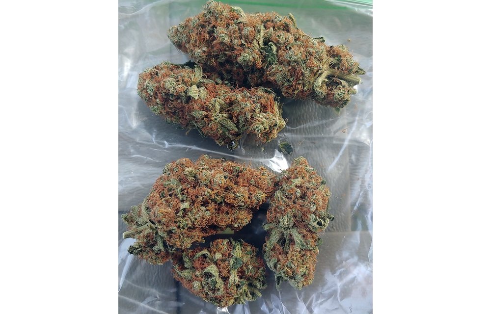 Dutch Berry Diesel Reg 10 pk