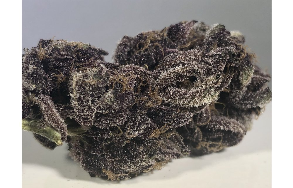 Purple Afghani Kush S1 Fem 6 pk