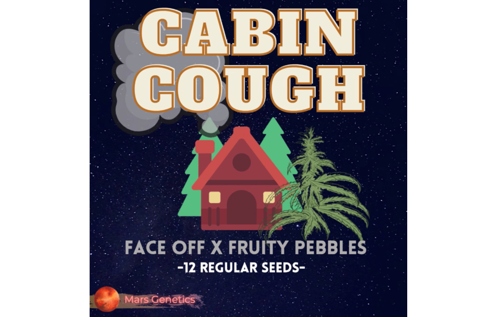 Cabin Cough Reg 12 pk