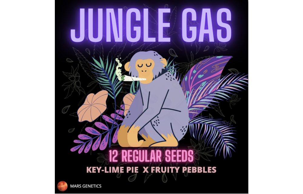 Jungle Gas Reg 12 pk