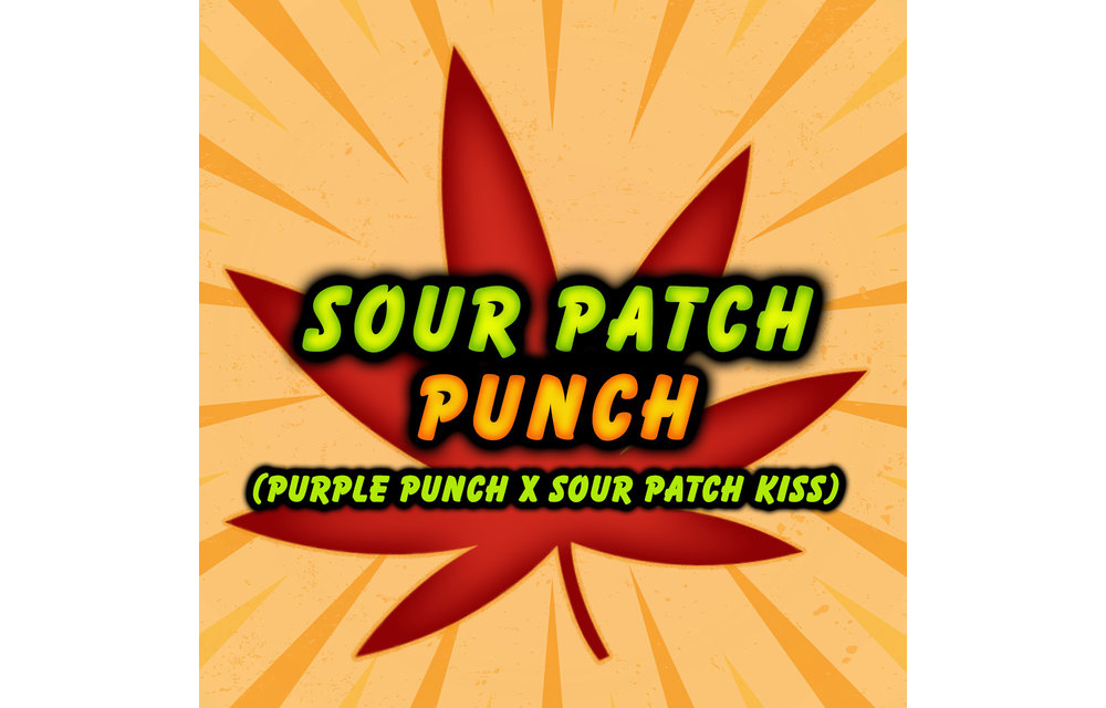 Sour Patch Punch Fem 6 pk